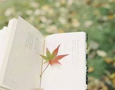 讀書，也是一種旅行——企業(yè)管理視角下的閱讀智慧