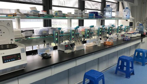 早篩創(chuàng)新與科技融合，天浚元生生物獲國高生物戰(zhàn)投，領(lǐng)跑教育科技軟件研發(fā)新賽道